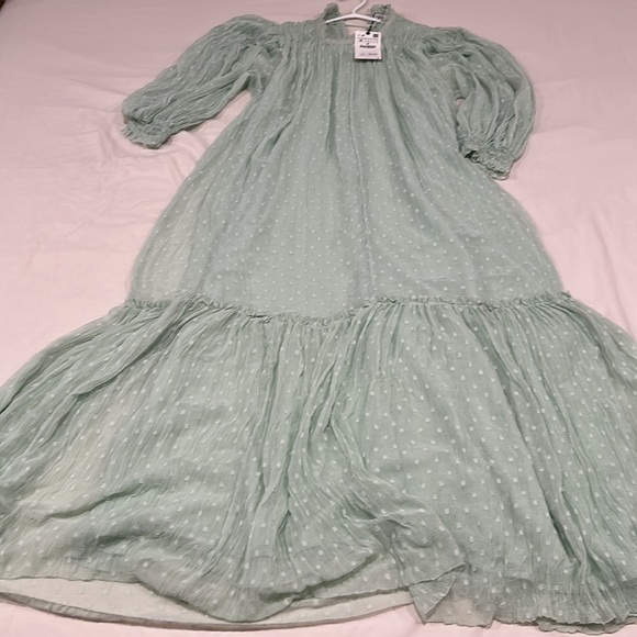 Zara Mint Green Plumetis Maxi The Gladis Dress - Picture 3 of 11